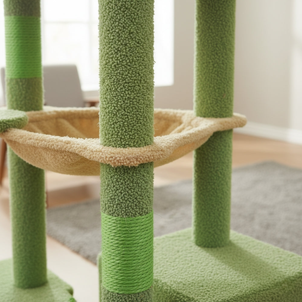 Arbre À Chat - Anoïa