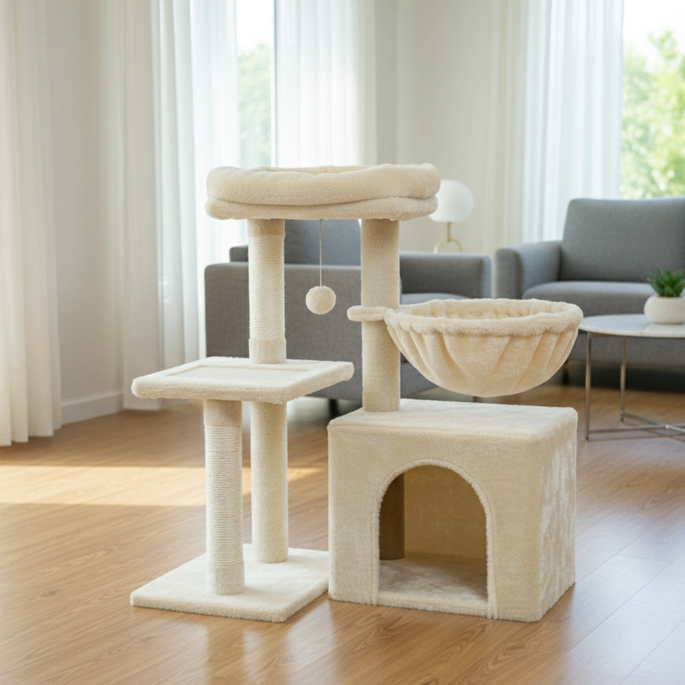 Arbre À Chat - Ralph