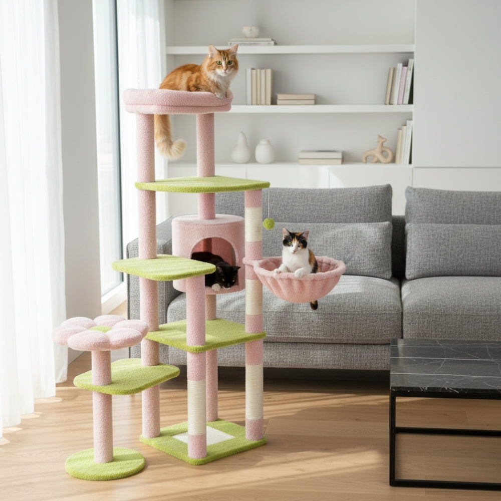 Arbre À Chat - Balou