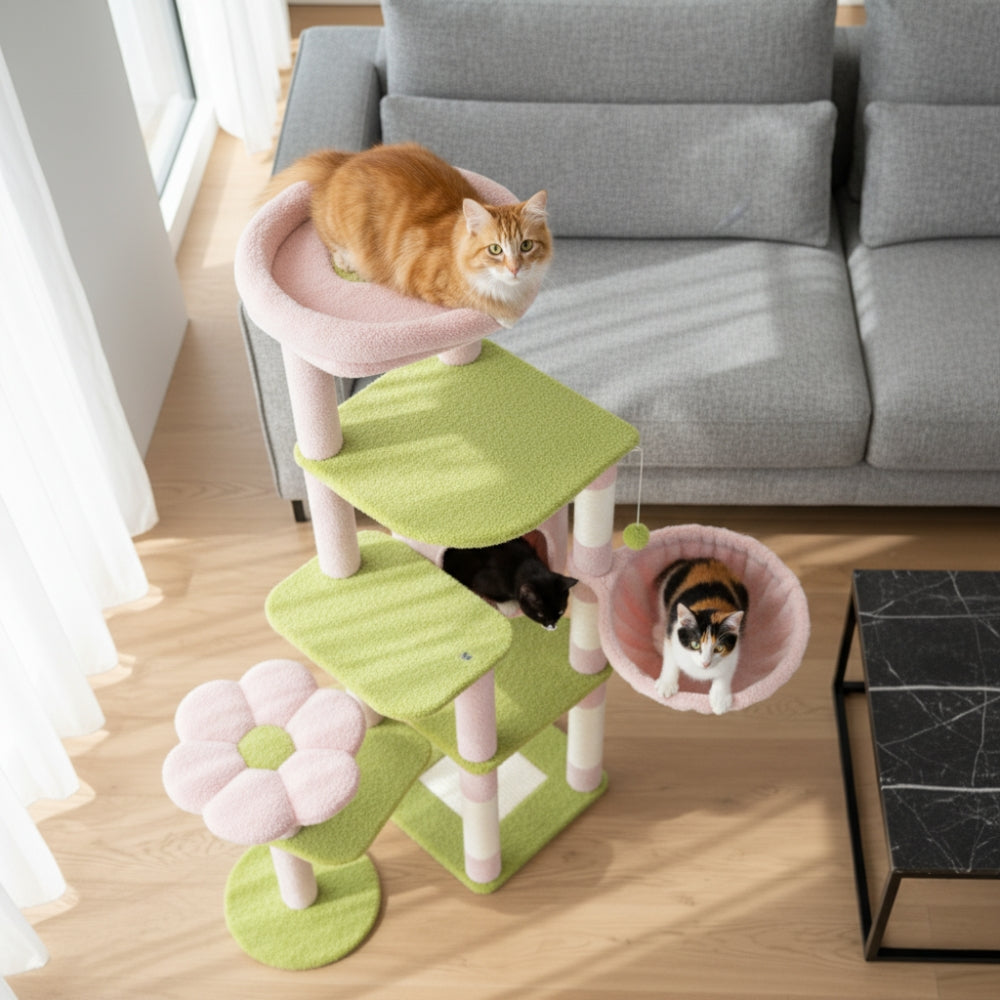 Arbre À Chat - Balou