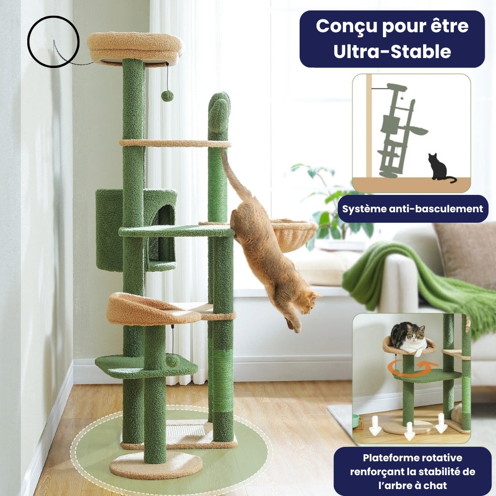 Arbre À Chat - Zouzou