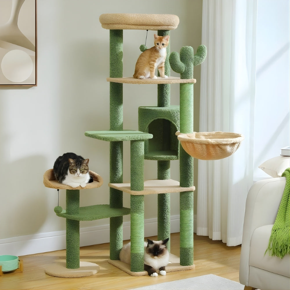 Arbre À Chat - Zouzou