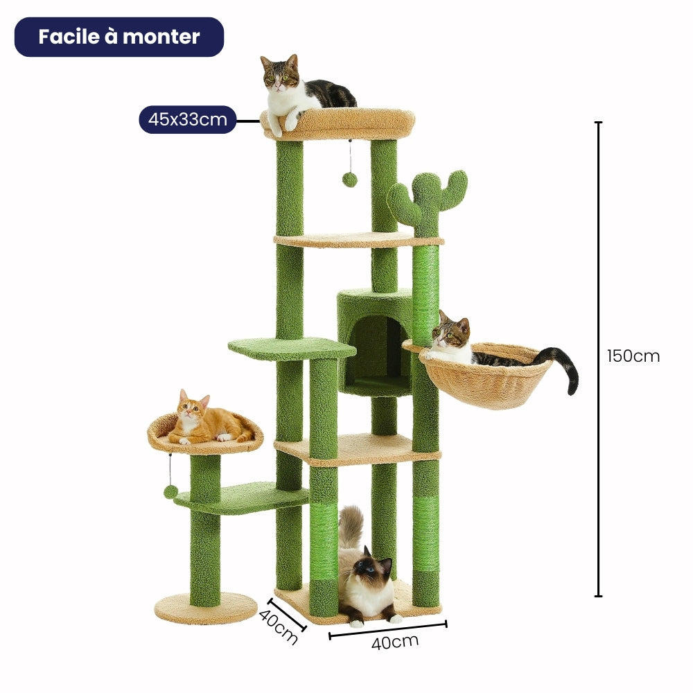 Arbre À Chat - Zouzou