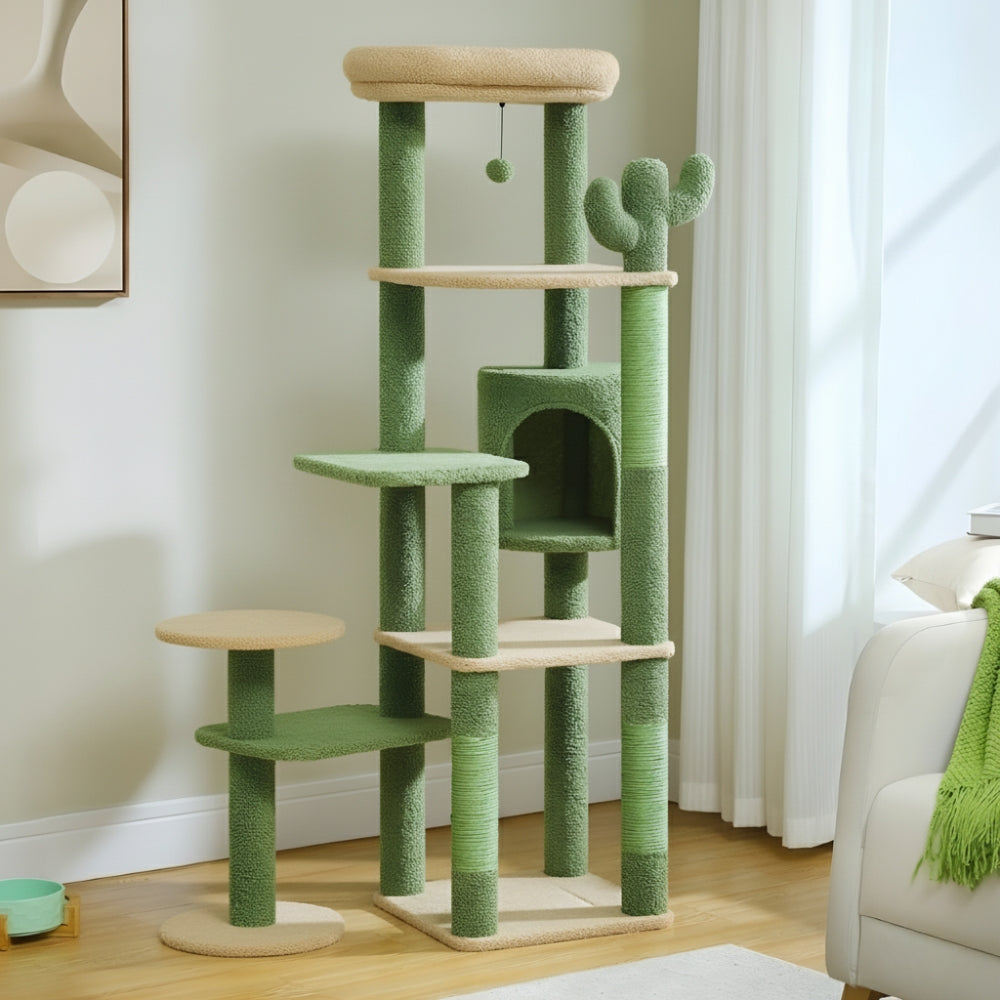 Arbre À Chat - Zouzou