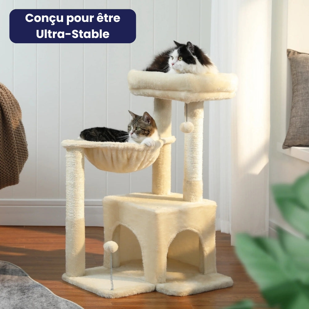 Arbre À Chat - Cookie