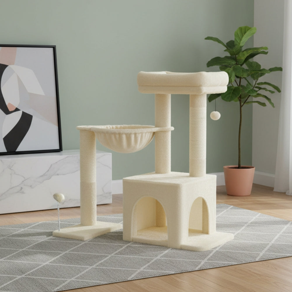 Arbre À Chat - Cookie