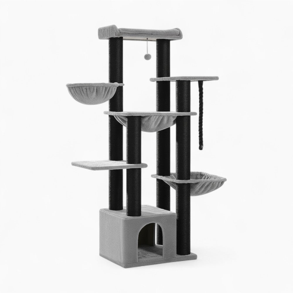 Arbre À Chat - Ulysse