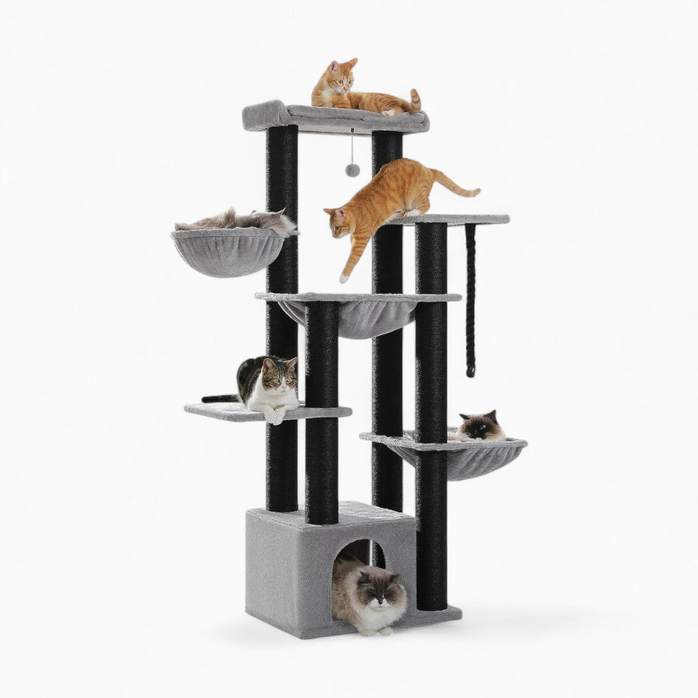 Arbre À Chat - Ulysse