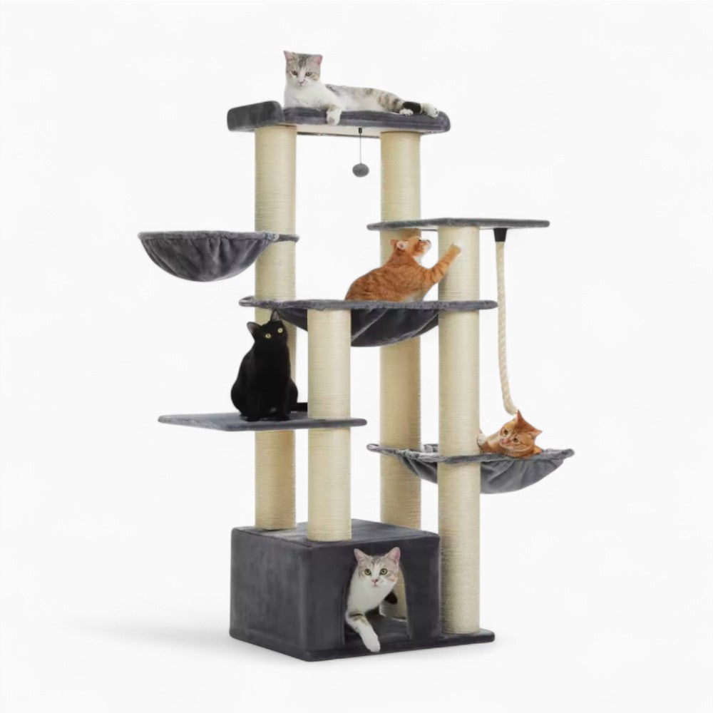 Arbre À Chat - Ulysse