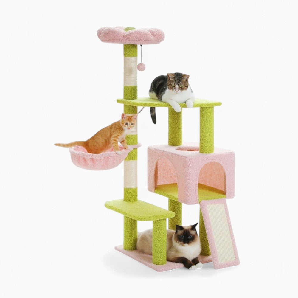 Arbre À Chat - Kimi