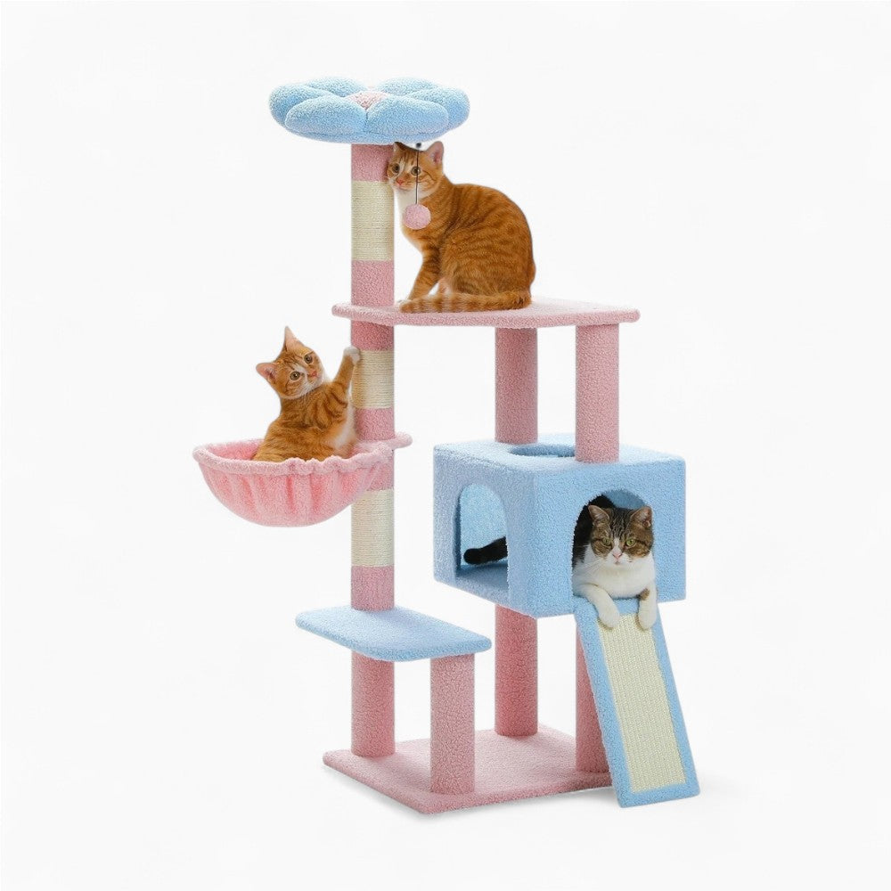 Arbre À Chat - Kimi