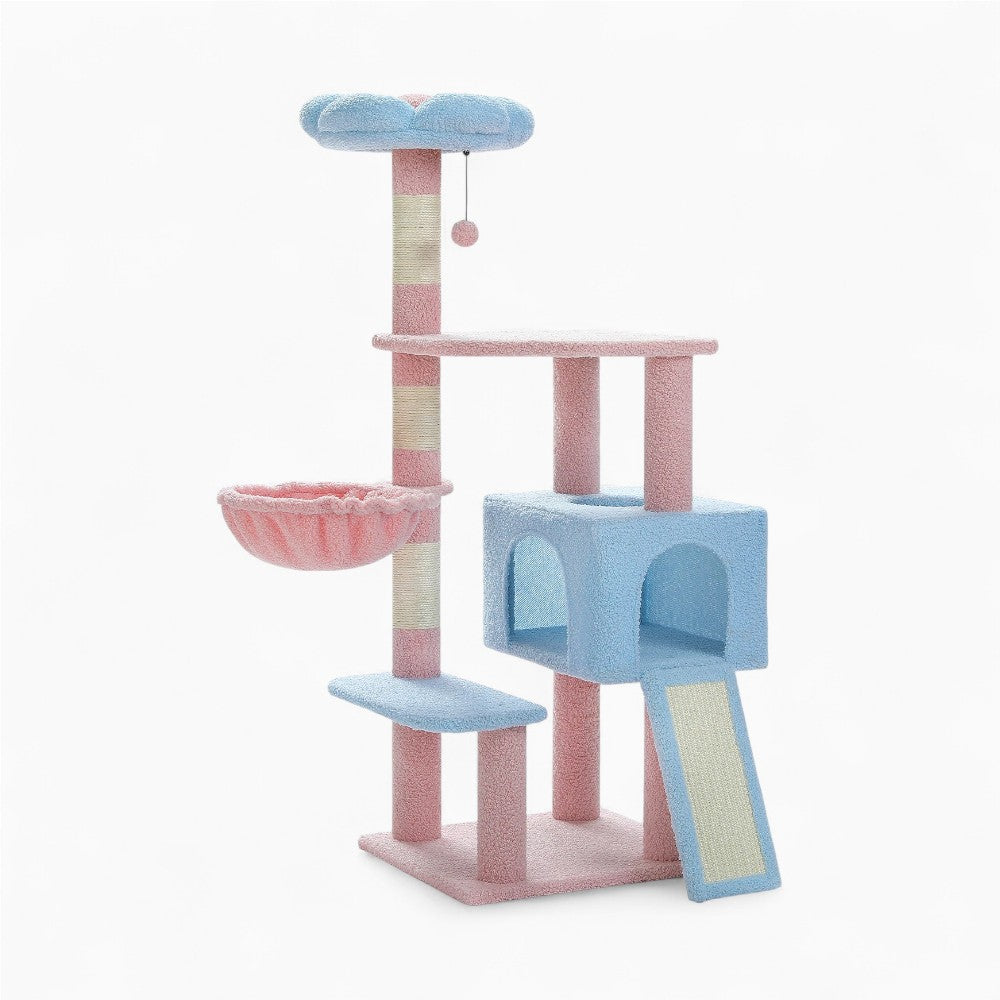 Arbre À Chat - Kimi