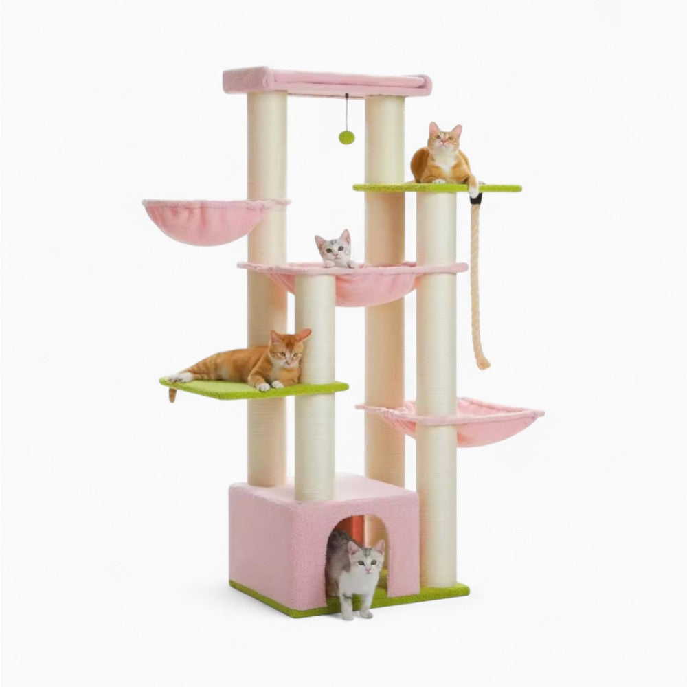 Arbre À Chat - Zakia