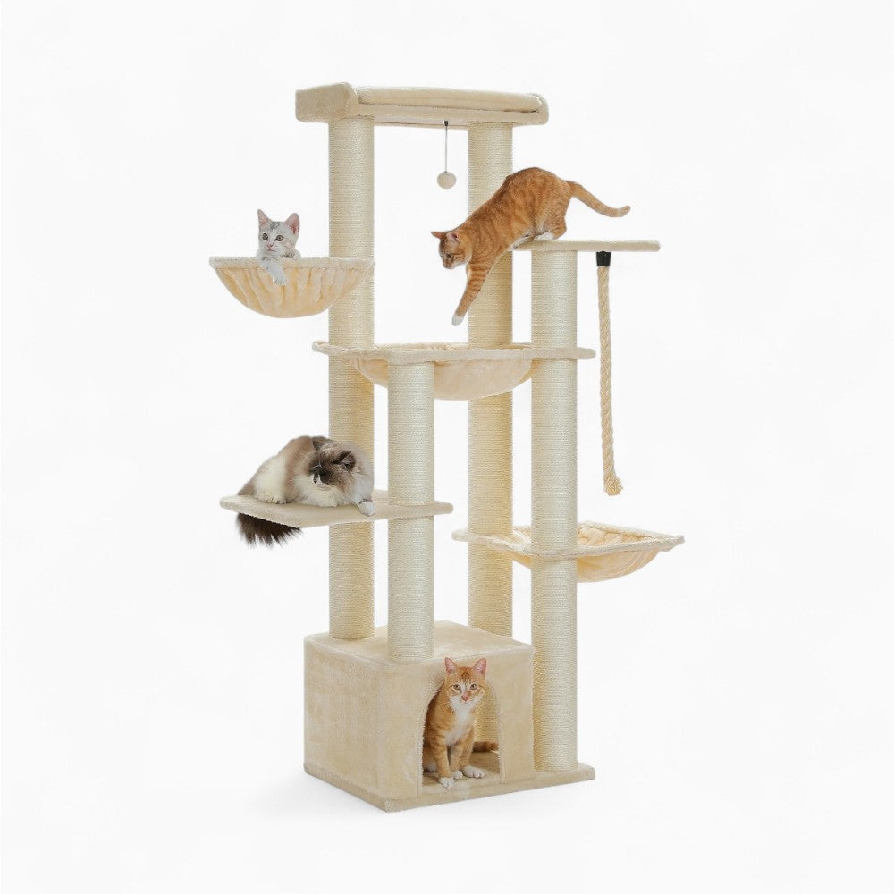 Arbre À Chat - Zakia