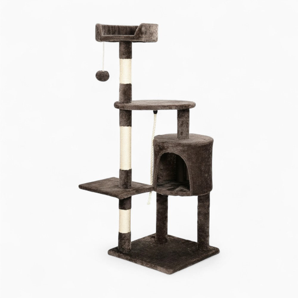 Arbre à Chat - Brownie