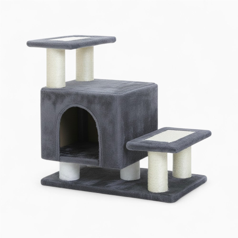 Arbre À Chat - Soleil