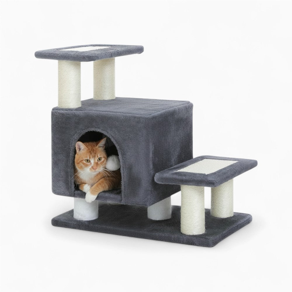 Arbre À Chat - Soleil