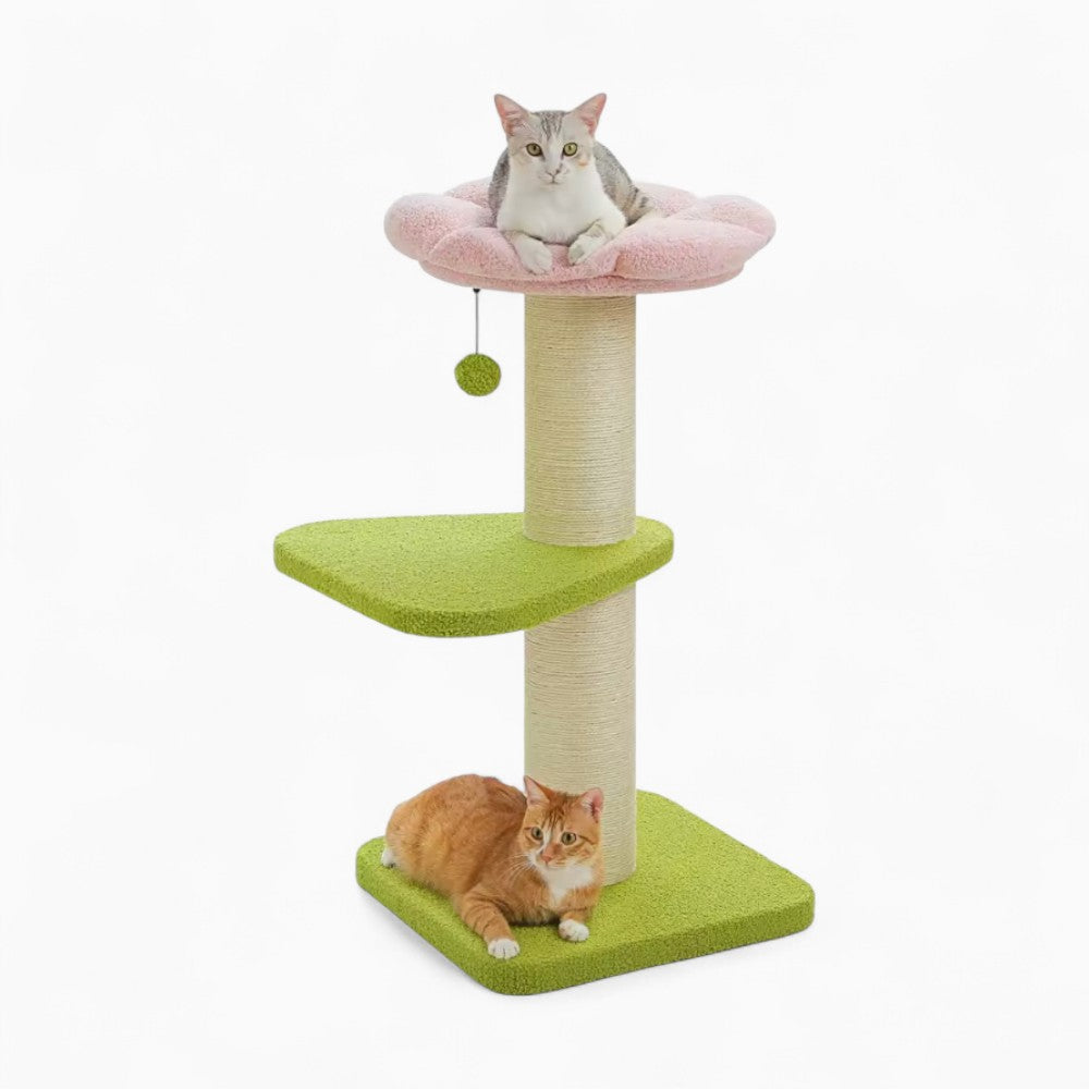 Arbre À Chat - Frimousse