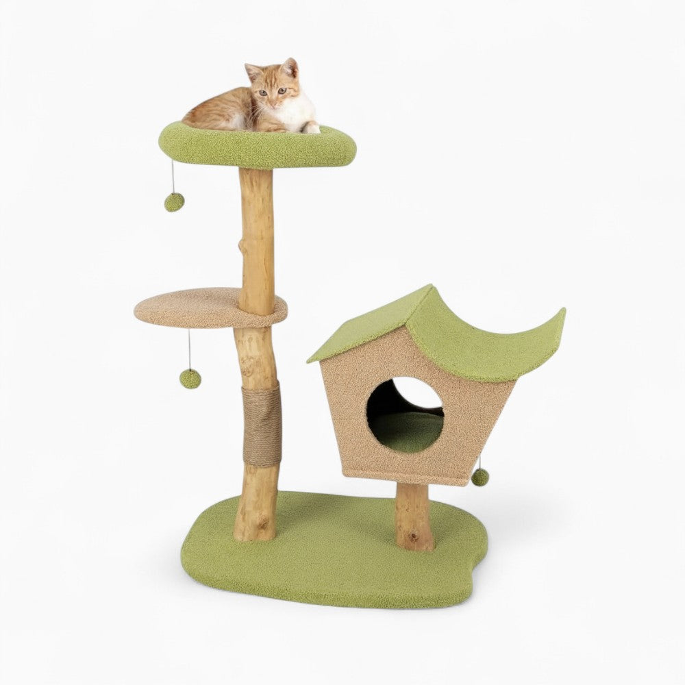 Arbre À Chat - Toby