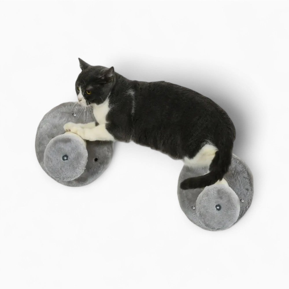 Arbre À Chat Mural - Ulyo