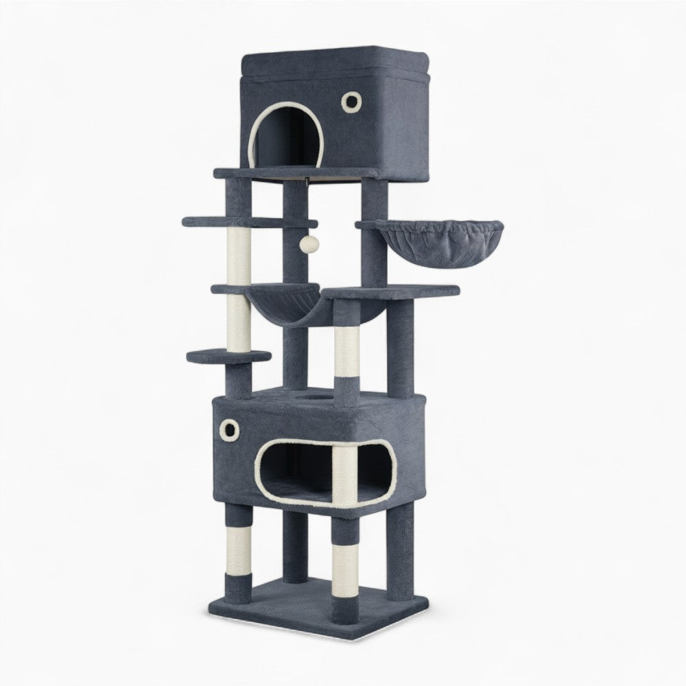 Arbre À Chat - Manaï