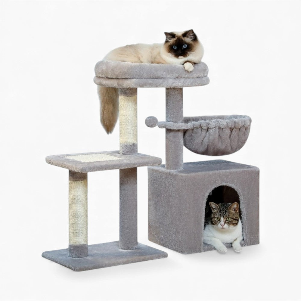 Arbre À Chat - Lucky