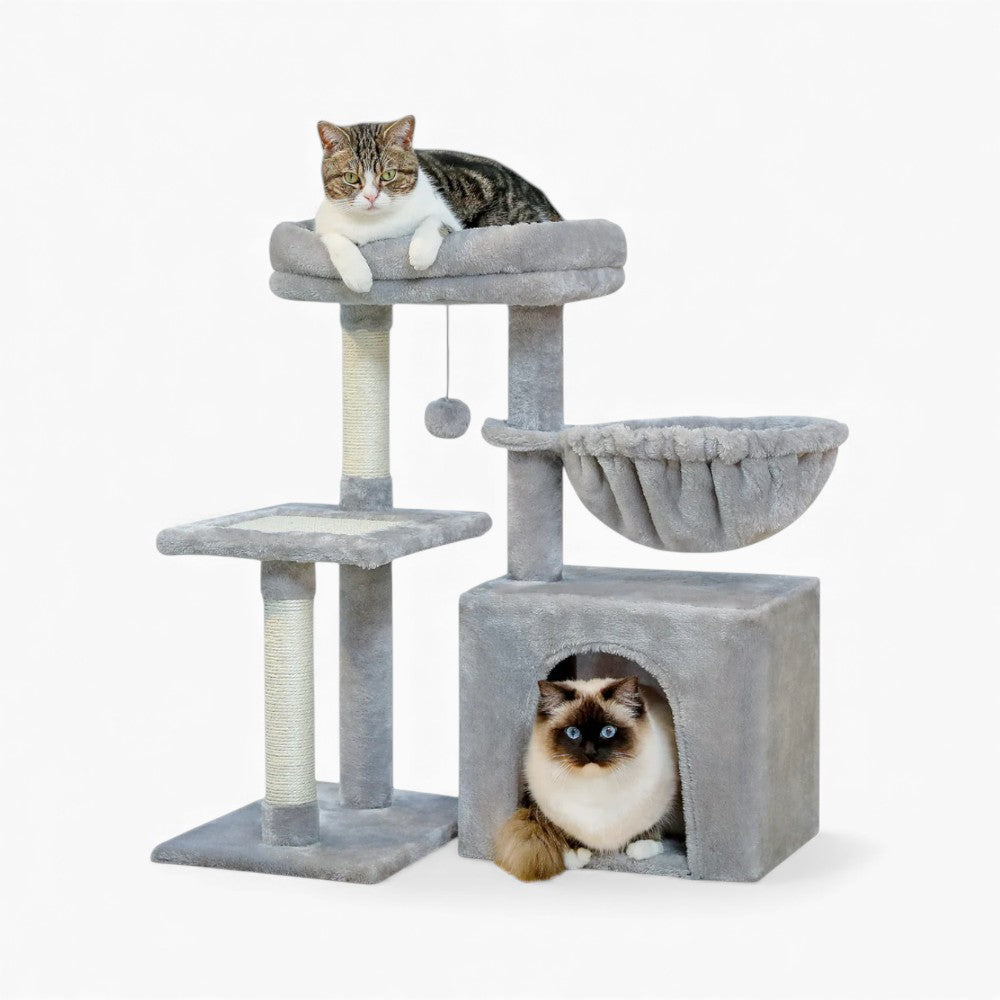 Arbre À Chat - Lucky