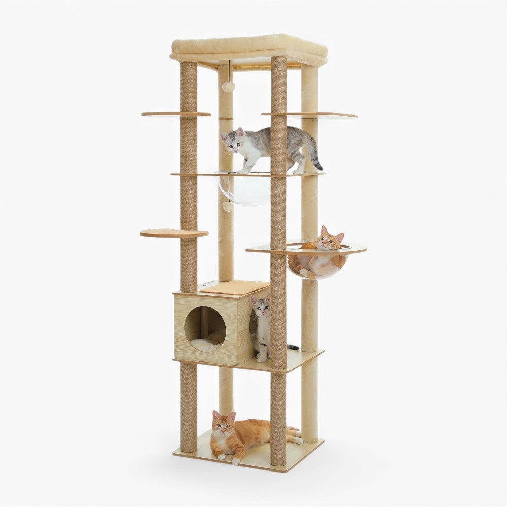 Arbre À Chat - Félix