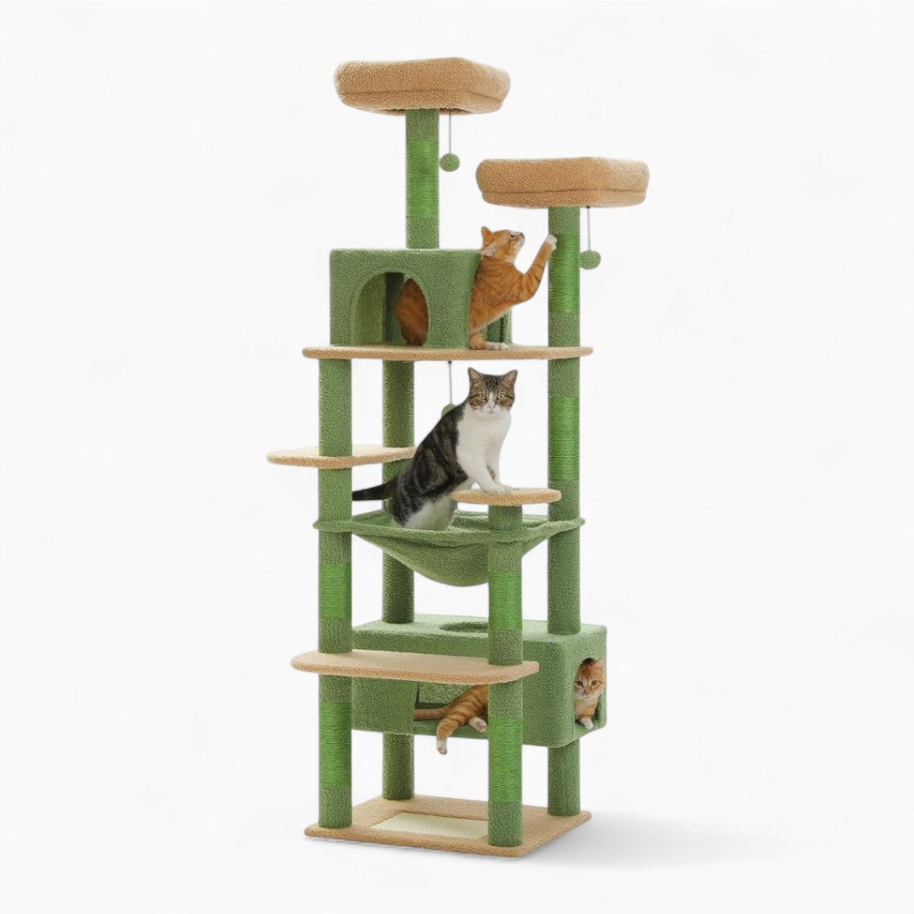 Arbre À Chat - Miou